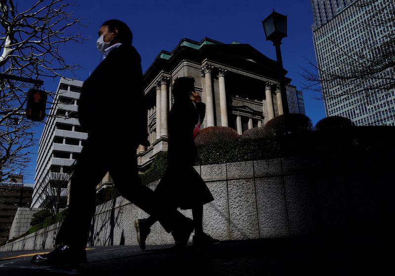 Japan political turmoil a risk for BOJ December hike, former board member says