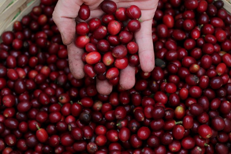 Banks behind troubled Brazil coffee traders could take $181 million hit