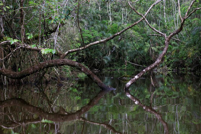 Ecuador completes $1.5 billion debt swap for Amazon conservation