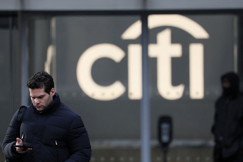 Citi expects rally in global stocks to extend into 2025, sees 10% EPS growth