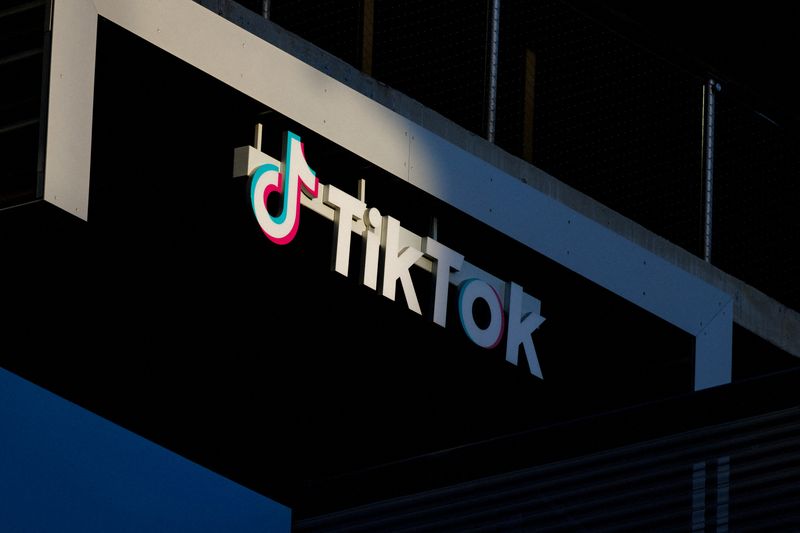 How a TikTok ban would work - and why user workarounds won't