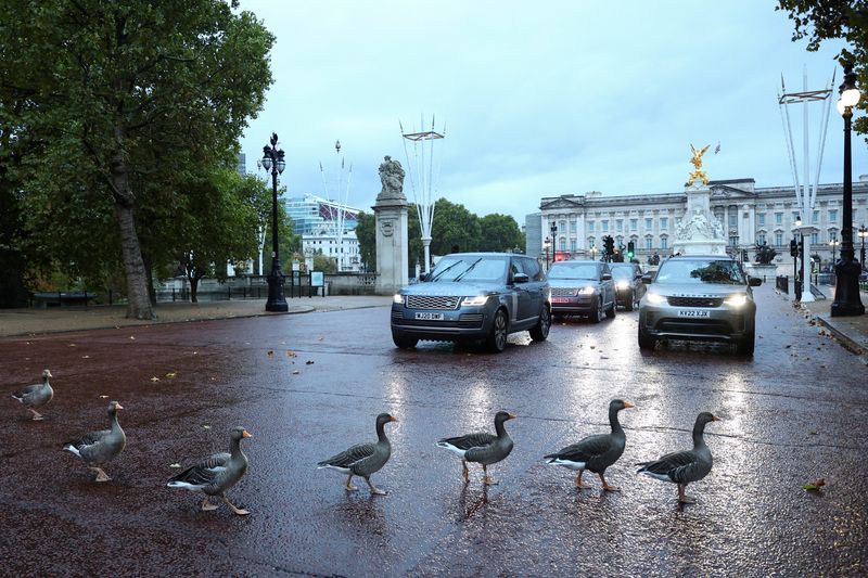 Britain to introduce digital driving licences this year