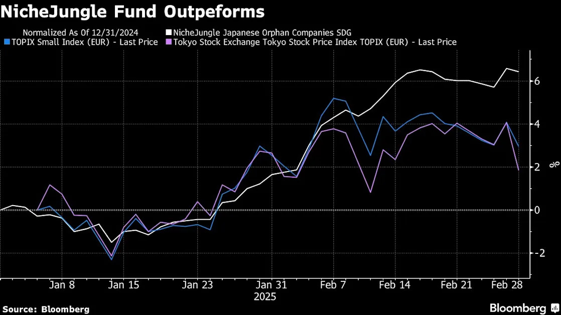 Japan Small-Cap Fund Tops Rivals With Stocks Few Analysts Cover